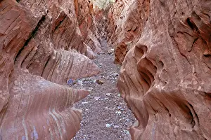 Weathered: Little Wild Horse Canyon