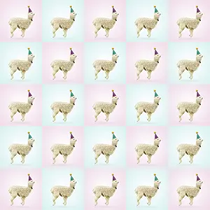 Llamas: llama