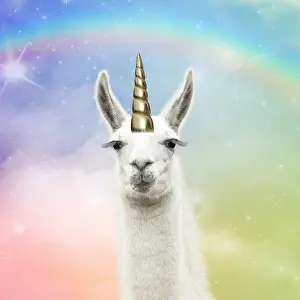 Llamas: Llama with big eye lashes and gold unicorn horn