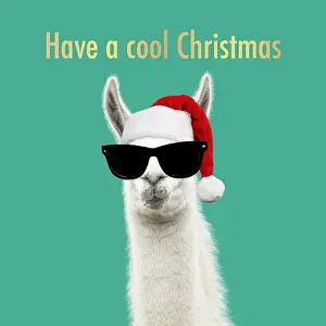 Llama: Llama wearing Christmas hat and sunglasses