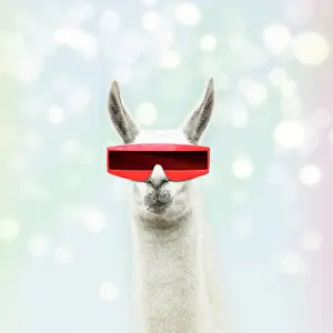 90205970: Llama wearing futuristic glasses