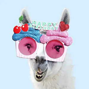 Llamas: Llama wearing happy birthday sun-glasses