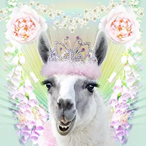 Llamas: Llama wearing tiara with roses and flowers