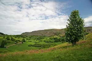 Spectacular: llangollen, Wales. These spectacular ruins