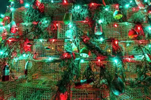 Harbor: Lobster trap Christmas tree, Musquodoboit Harbour, Nova