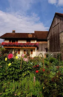 Liechtenstein: Local home with flowers in Balzers in small