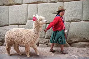 Alpaca: Local woman with an alpaca at Calle Hatun Rumiyok