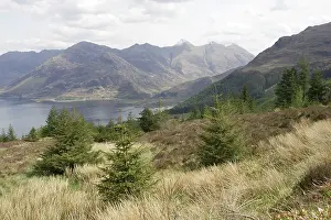 Lochs: Loch Duich viewed from Bealach Ratagain