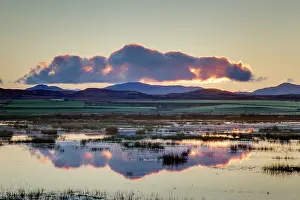 Rspb: Loch Gruinart RSPB Reserve st dawn