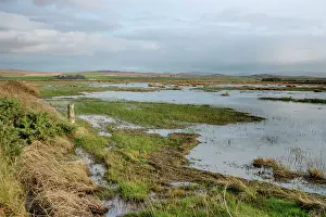 Islay: Loch Gruinart RSPB Reserve view from hide