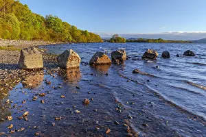 Lomond: Loch Lomond - beach with forest covered shore line