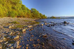 Lomond: Loch Lomond - with forest covered shore line and