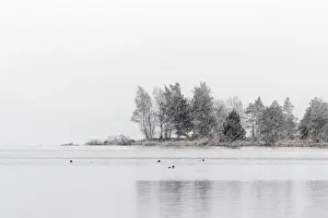 Morlich: Loch Morlich - Snow - Cairngorms - Scotland - UK