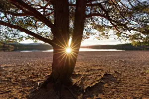 Silence: Loch Morlich at sunset - Cairngorms National Park