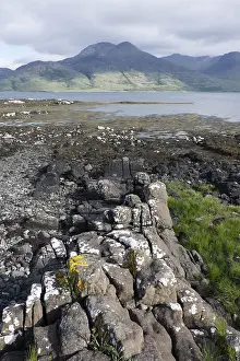 Mull: Loch na Keal Isle of Mull Scotland, UK LA007557