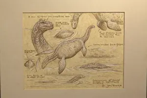 Ness: Loch Ness Monster. Based on eye-witness accounts