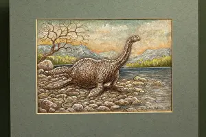 Ness: Loch Ness Monster. On shore