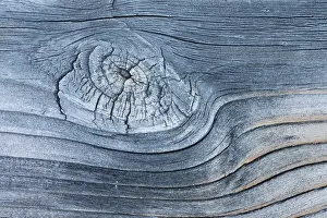 Knot: Lodgepole pine