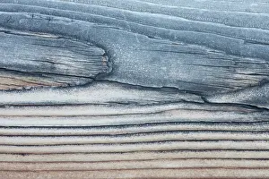 Timber: Lodgepole Pine