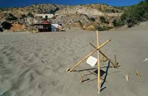 Caretta: Loggerhead Turtle Nest - on beach