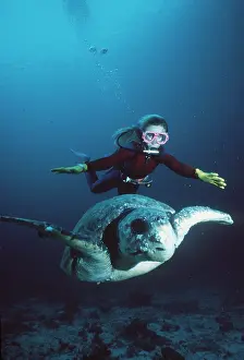 Turtles: LOGGERHEAD TURTLE - with scuba diver