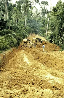 Bulldozer: Logging road in rainforest, Malaysia