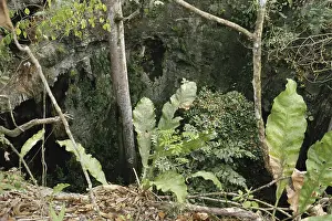 Collapsed: Loltun Caves, Mexico