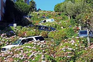 Bends: Lombard Street, the crookedest street in the