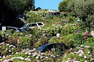 Bends: Lombard Street, the crookedest street in the