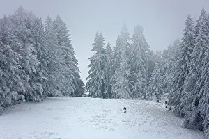 Loneliness: Lone skier in snowy landscape with snow-covered
