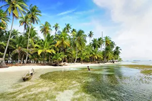 Palms: Lonely beach with palm trees on a tropical island