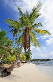 Arecaceae: Lonely beach with palm trees, tropical island, Chichime