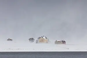 Snowstorm: Lonely houses in snow storm at Limstranden in winter