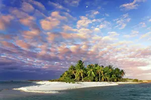 Palms: Lonely Island, Beach with Palms, Clouds, Sunset