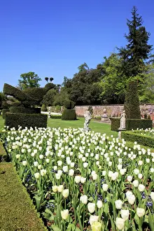 Buckinghamshire: The Long Garden at Cliveden Buckinghamshire England on a spr