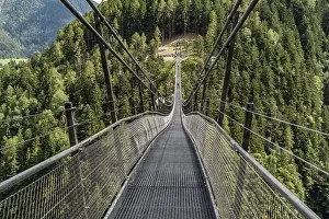 Bridge: Long suspension bridge over a forest gorge in the South Tyrolean Alps