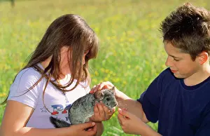 Chinchillas: Long-tailed Chinchilla - with 2 children