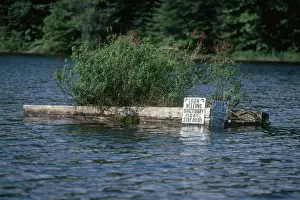 Stay: Loon Nesting Platform