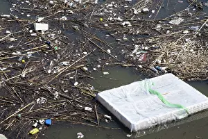 Refuse: Los Angeles River Pollution