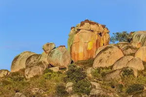 Cceres: Los Barruecos - several White storks standing on
