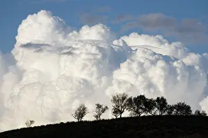 Billowing: Low altitude billowing cumulus clouds with dark