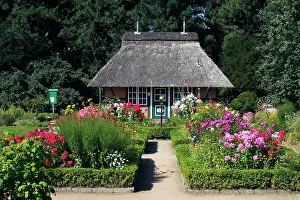 Cottages: Low German cottage garden with boxwood hedges and