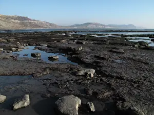 Lyme: Low tide