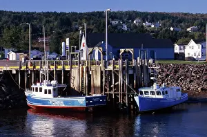 Docks: Low Tide, Bay of Fundy