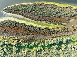 Tide: Low tide in the marshland of Isla Canela. Aerial