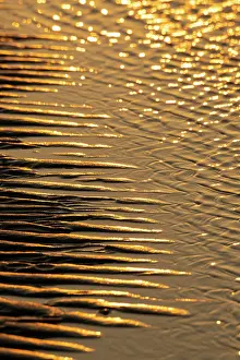 Tideland: Low tide, sunrise in the mudflats on the North Sea