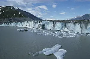 Silty: Lowell Glacier