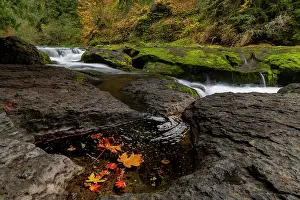 Danita Delimont: Lower Lewis River Falls in autumn in the Gifford Pinchot