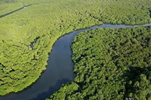 Sandakan: Lowland rainforest in a river-valley near Sandakan