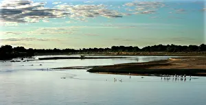 Luangwa: Luangwa River - South Luangwa Valley National Park